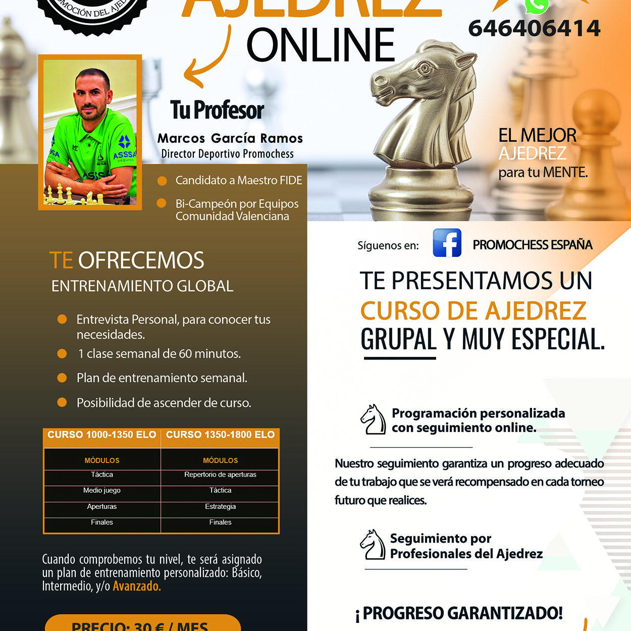 clases de ajedrez , entrenamiento profesional